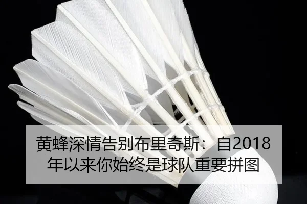 黄蜂深情告别布里奇斯：自2018年以来你始终是球队重要拼图